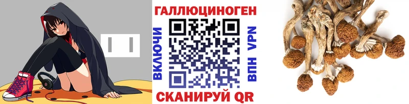 Галлюциногенные грибы прущие грибы  купить  цена  mega tor  Светогорск 